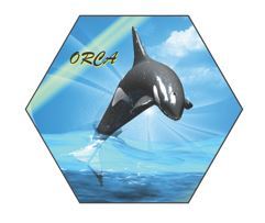 ORCA Risk Management